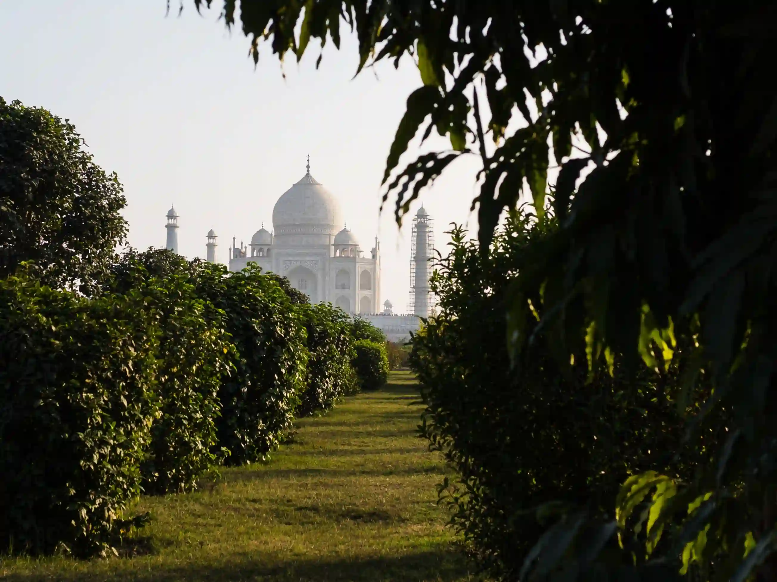 Delhi to Taj Mahal Sunrise and Return Tour: Old Delhi